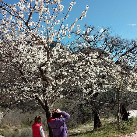 Valle del Belvedere Spoleto Eksteriør billede